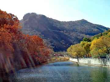 新澳门二四六天天彩，佛山至山东物流